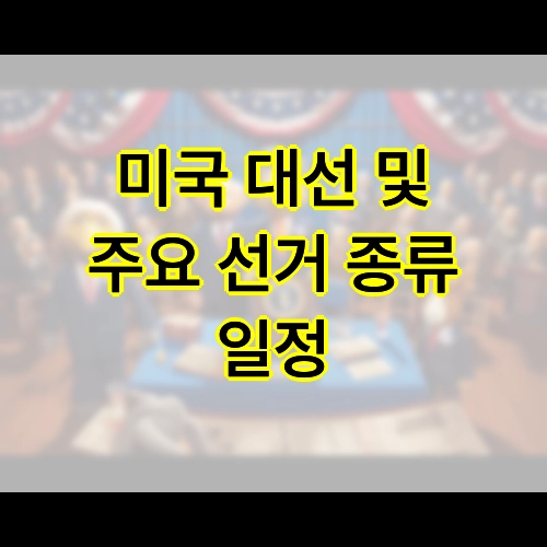 미국 대선 및 주요 선거 종류 일정