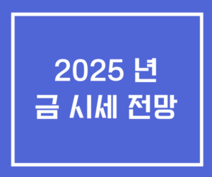 2025 년 금 시세 전망