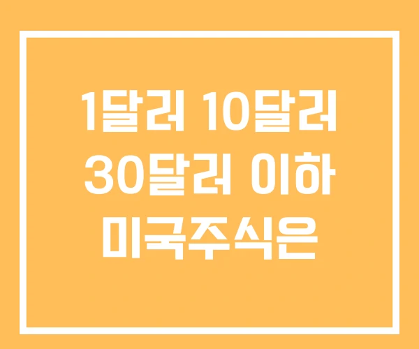 1달러 10달러 30달러 이하 미국주식은