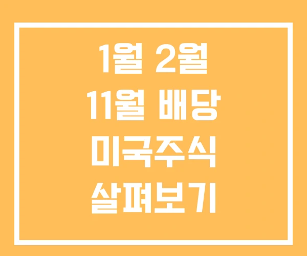 1월 2월 11월 배당 미국주식 살펴보기