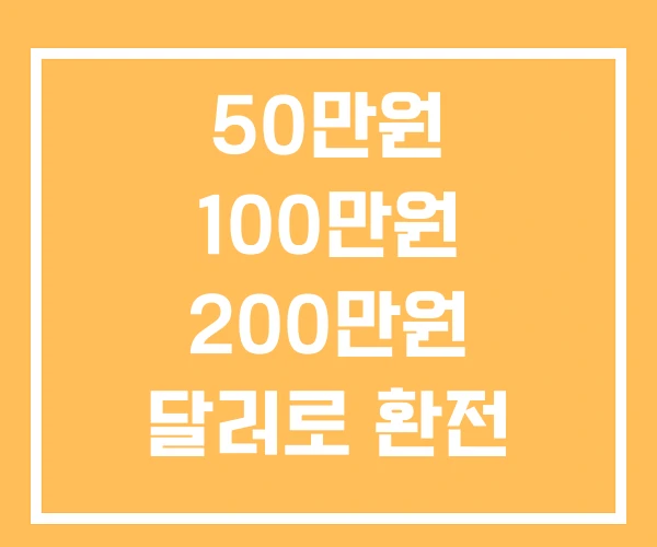 50만원 100만원 200만원 달러로 환전