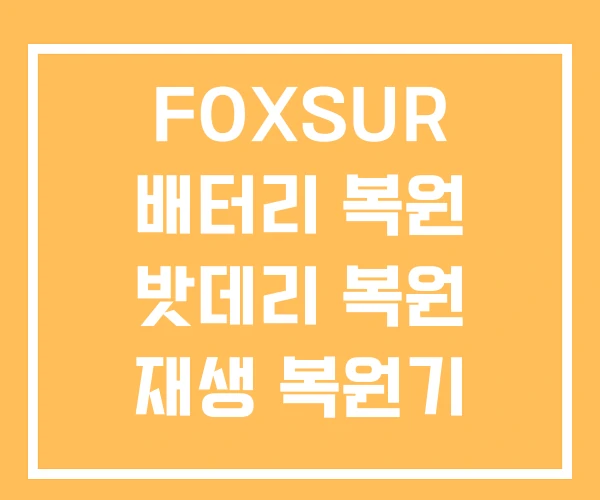 FOXSUR 배터리 복원 밧데리 복원 재생 복원기 후기