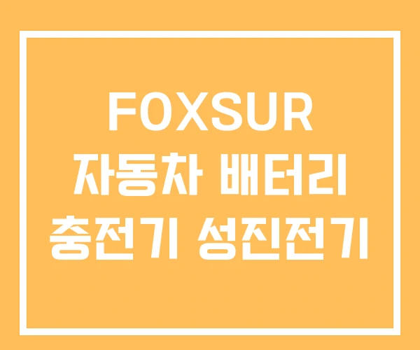 FOXSUR 자동차 배터리 충전기 성진전기
