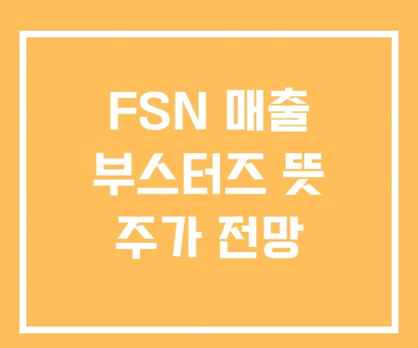 FSN 매출 부스터즈 뜻 주가 전망