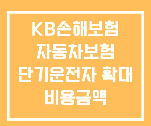 KB손해보험 자동차보험 단기운전자 확대 비용금액