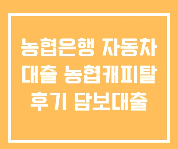 농협은행 자동차 대출 농협캐피탈 후기 담보대출
