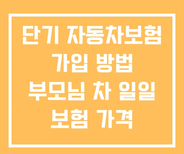 단기 자동차보험 가입 방법 부모님 차 일일 보험 가격 원데이