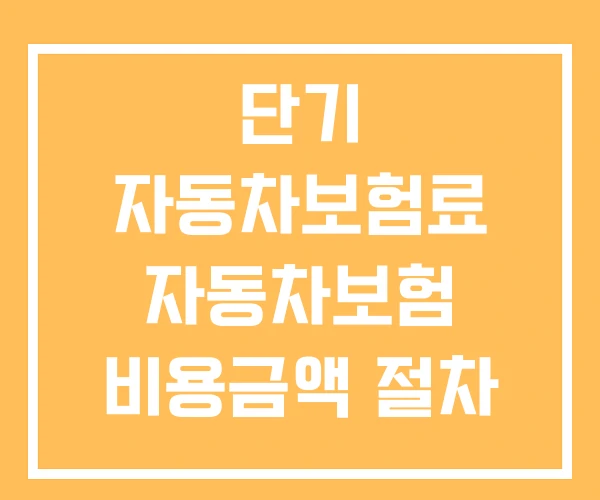 단기 자동차보험료 자동차보험 비용금액 절차