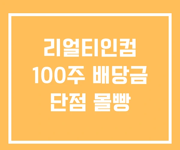 리얼티인컴 100주 배당금 단점 몰빵