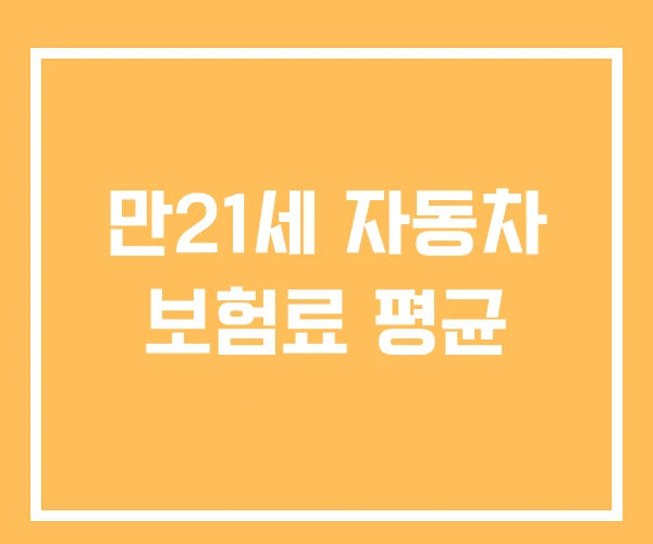 만21세 자동차 보험료 평균