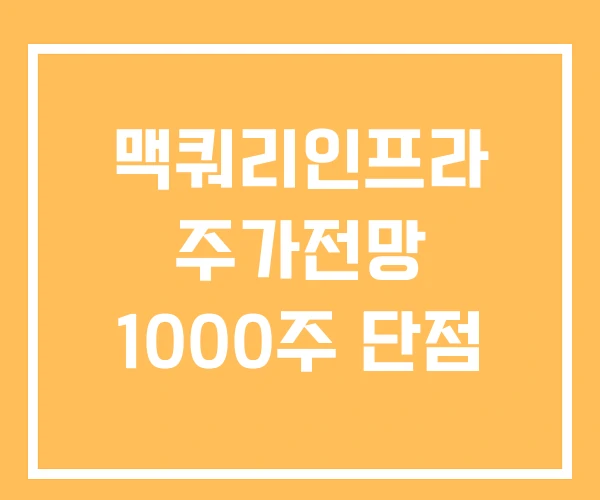 맥쿼리인프라 주가전망 1000주 단점