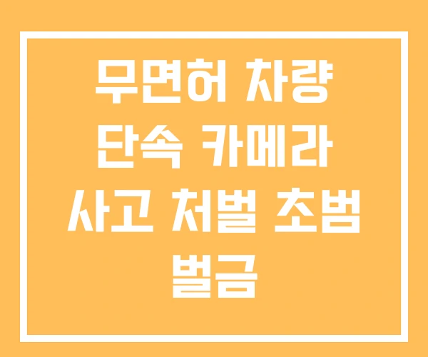 무면허 차량 단속 카메라 사고 처벌 초범 벌금 무면허 차량 단속 카메라 사고 처벌 초범 벌금
