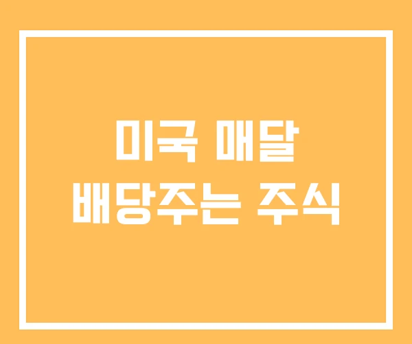 미국 매달 배당주는 주식