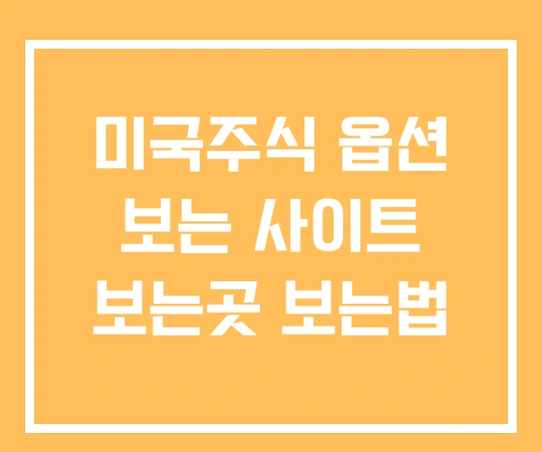 미국주식 옵션 보는 사이트 보는곳 보는법