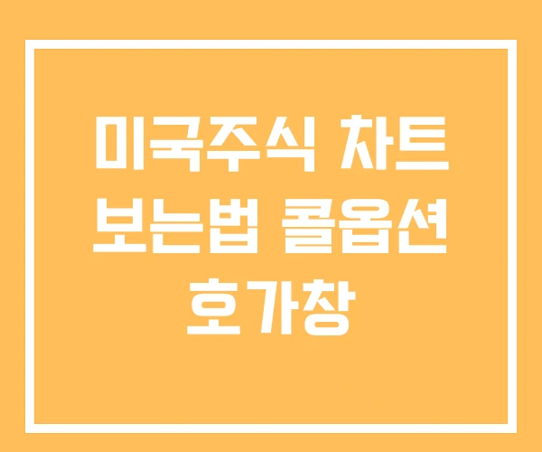 미국주식 차트 보는법 콜옵션 호가창 미국주식 차트 보는법 콜옵션 호가창