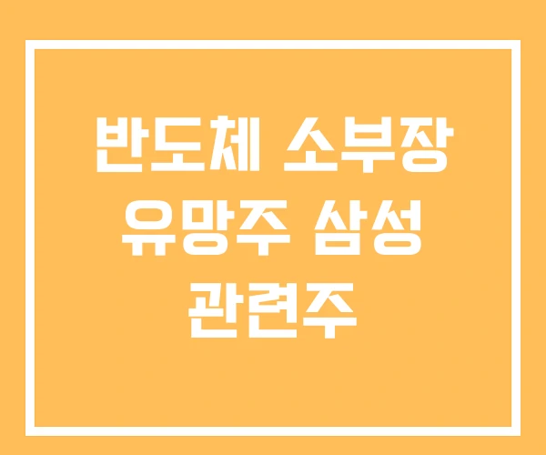 반도체 소부장 유망주 삼성 관련주