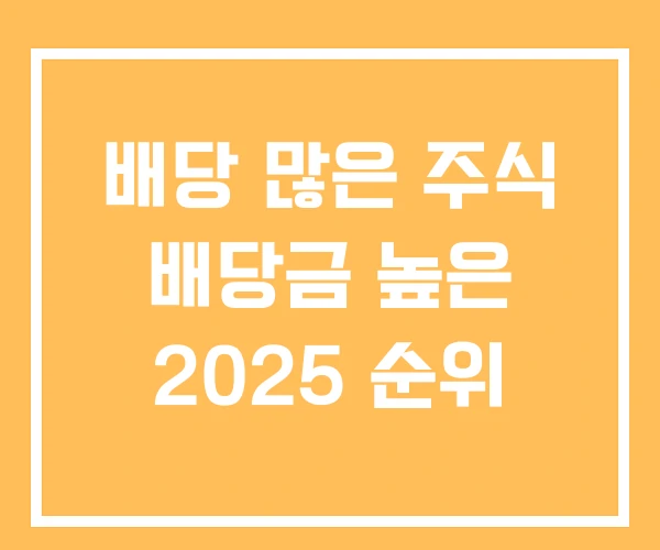 배당 많은 주식 배당금 높은 2025 순위
