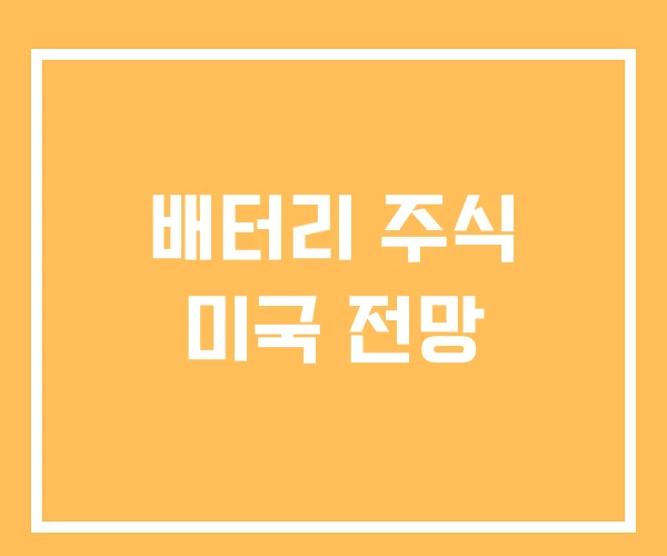 배터리 주식 미국 전망