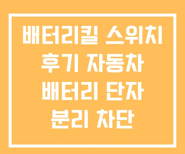 배터리킬 스위치 후기 자동차 배터리 단자 분리 차단 스위치 배터리킬 스위치 후기 자동차 배터리 단자 분리 차단 스위치