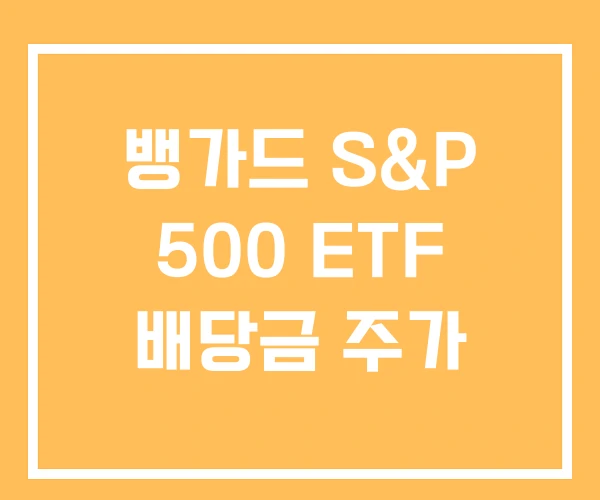 뱅가드 S&P 500 ETF 배당금 주가