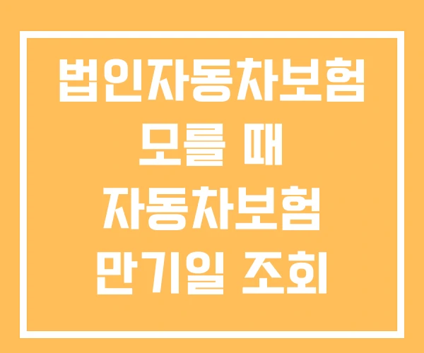 법인자동차보험 모를 때 자동차보험 만기일 조회 확인방법 법인자동차보험 모를 때 자동차보험 만기일 조회 확인방법