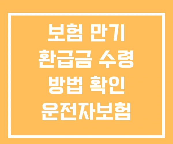 보험 만기 환급금 수령 방법 확인 운전자보험