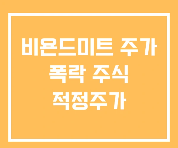 비욘드미트 주가 폭락 주식 적정주가