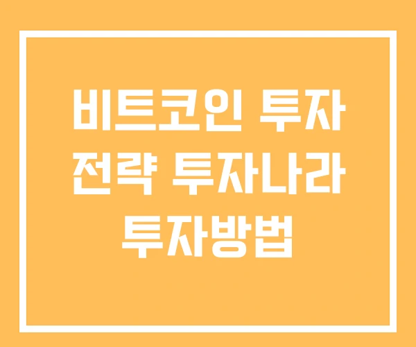 비트코인 투자 전략 투자나라 투자방법 비트코인 투자 전략 투자나라 투자방법