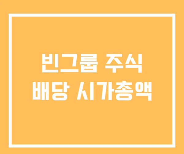 빈그룹 주식 배당 시가총액