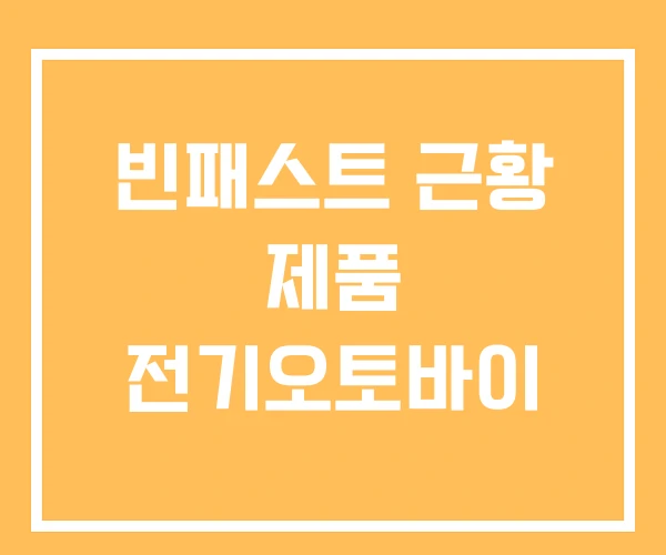 빈패스트 근황 제품 전기오토바이 빈패스트 근황 제품 전기오토바이