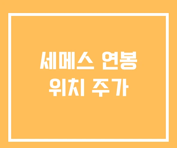 세메스 연봉 위치 주가