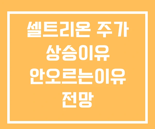 셀트리온 주가 상승이유 안오르는이유 전망 셀트리온 주가 상승이유 안오르는이유 전망