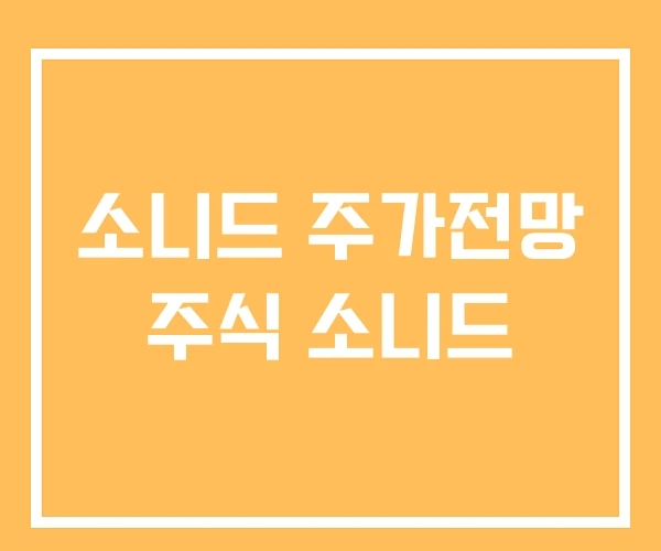 소니드 주가전망 주식 소니드