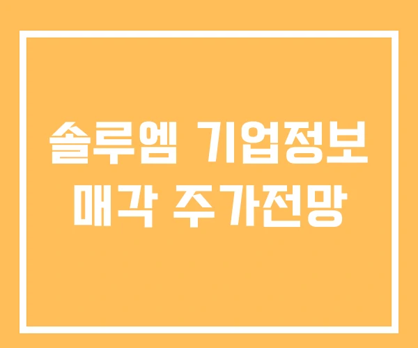 솔루엠 기업정보 매각 주가전망