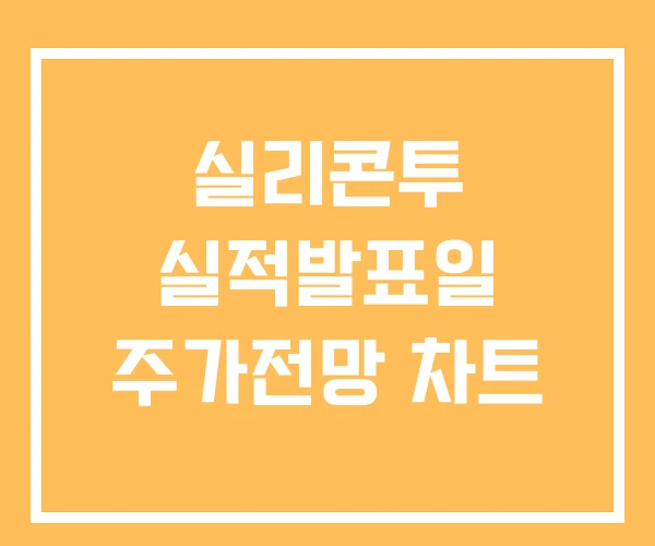 실리콘투 실적발표일 주가전망 차트