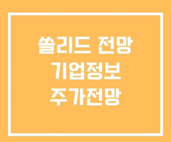 쏠리드 전망 기업정보 주가전망