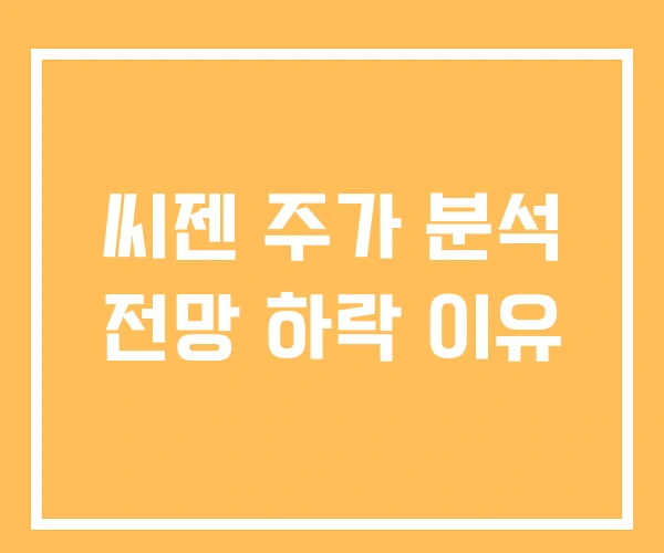 씨젠 주가 분석 전망 하락 이유 씨젠 주가 분석 전망 하락 이유