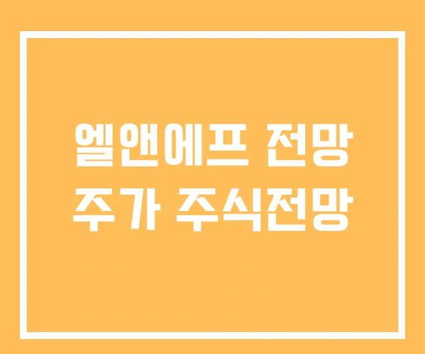 엘앤에프 전망 주가 주식전망