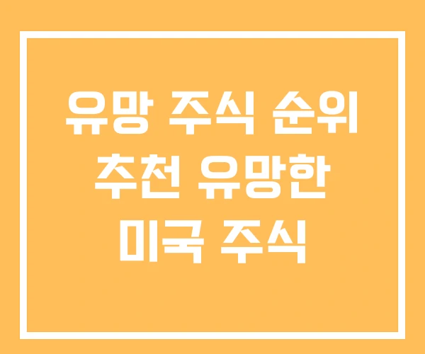 유망 주식 순위 추천 유망한 미국 주식