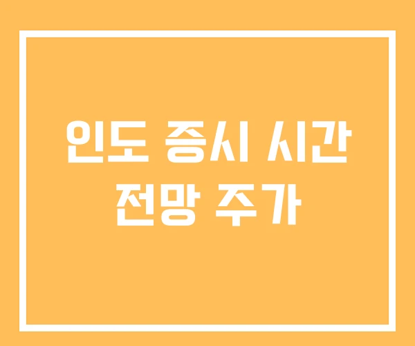 인도 증시 시간 전망 주가