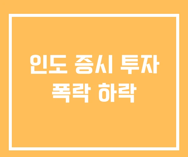 인도 증시 투자 폭락 하락