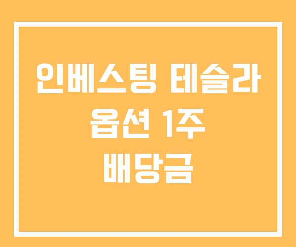인베스팅 테슬라 옵션 1주 배당금