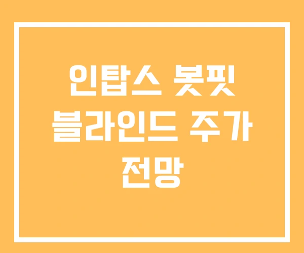 인탑스 봇핏 블라인드 주가 전망