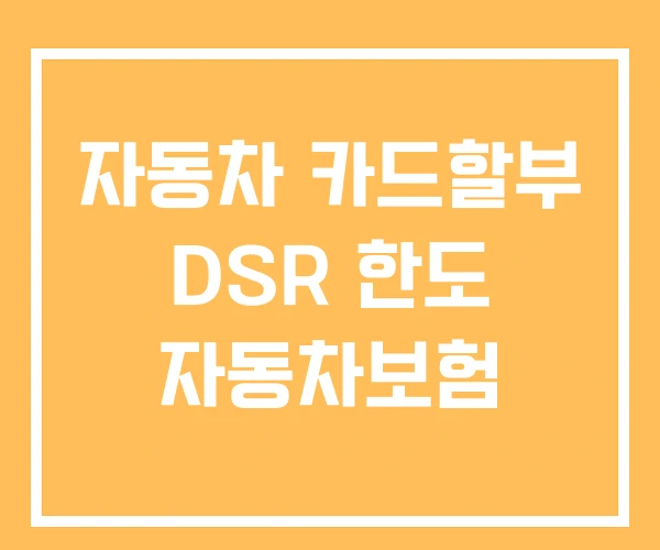 자동차 카드할부 DSR 한도 자동차보험