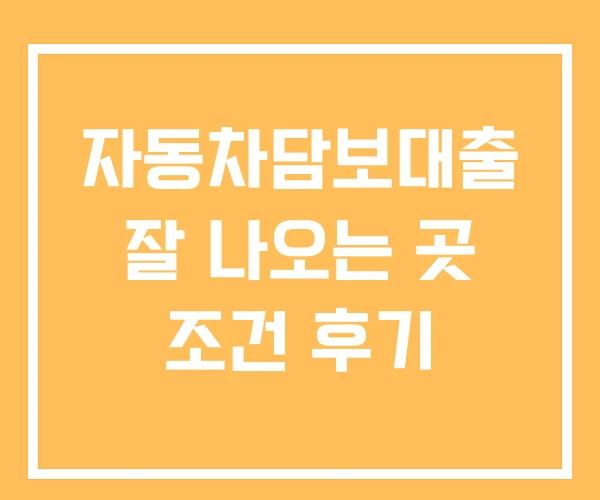 자동차담보대출 잘 나오는 곳 조건 후기