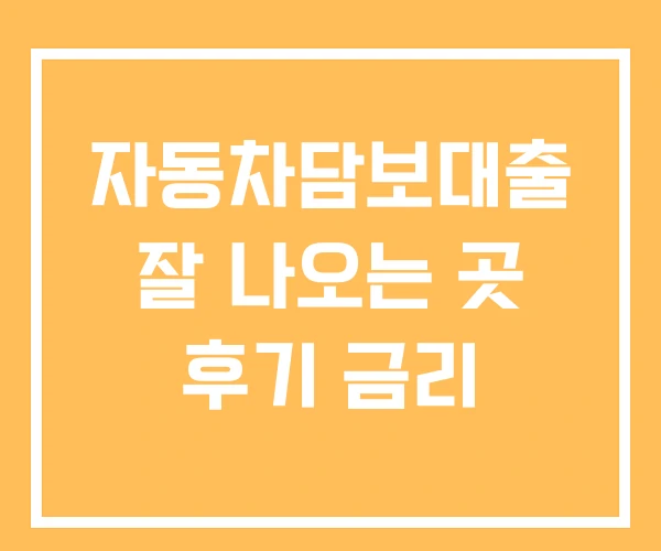자동차담보대출 잘 나오는 곳 후기 금리