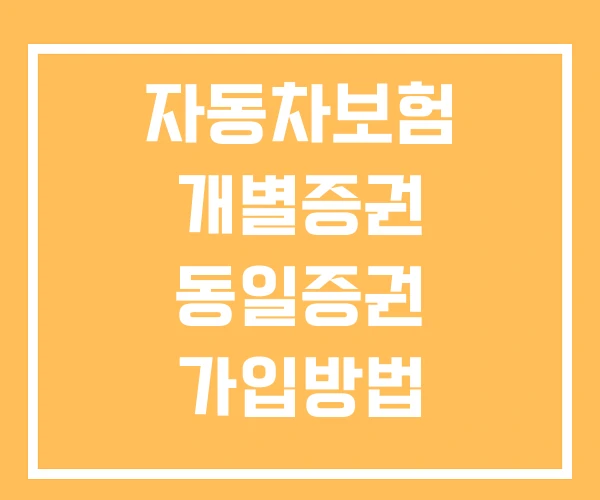 자동차보험 개별증권 동일증권 가입방법