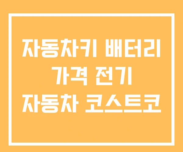 자동차키 배터리 가격 전기 자동차 코스트코