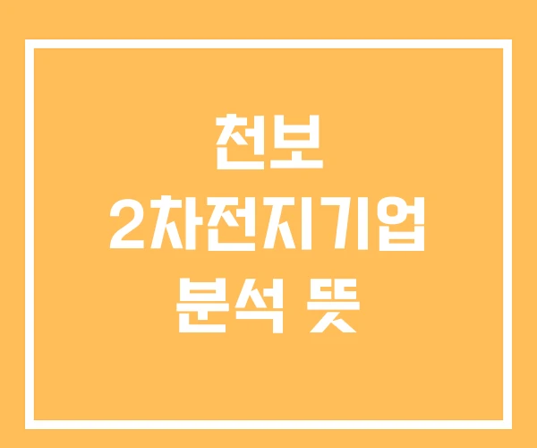 천보 2차전지기업 분석 뜻 천보 2차전지기업 분석 뜻