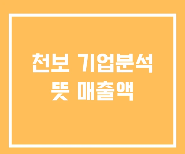 천보 기업분석 뜻 매출액